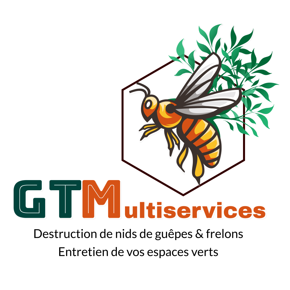 logo entier de GT Multiservices